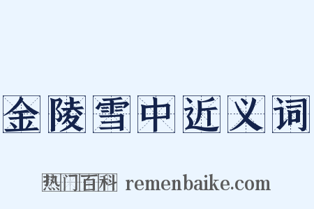 金陵雪中近义词是什么意思的图片
